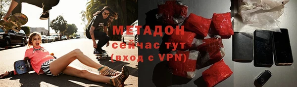 шишки Новодвинск