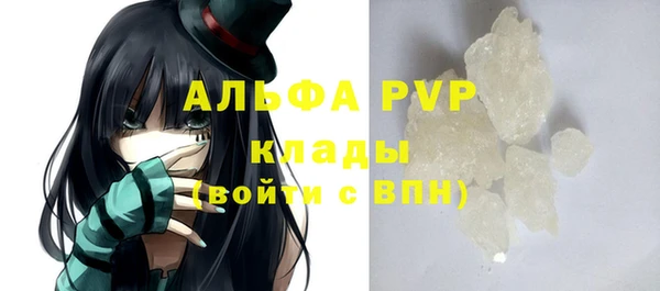шишки Новозыбков