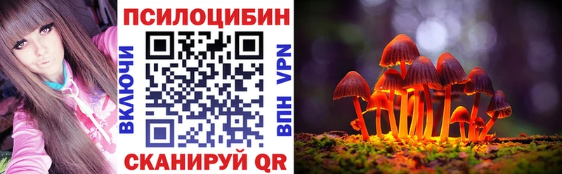 MEGA сайт  Оса  Галлюциногенные грибы мицелий 